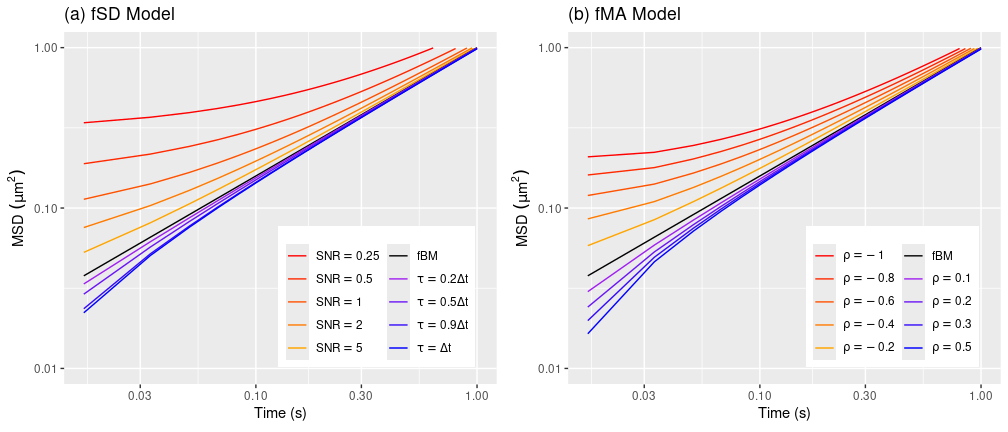 MSDs of the fSD and fMA models with different noise parameter values.